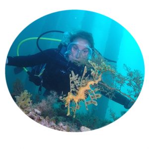 DIVE TOURS