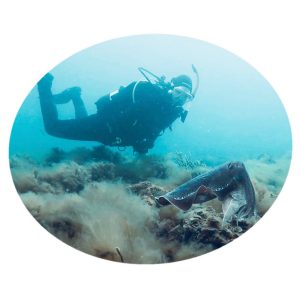 DIVE COURSES
